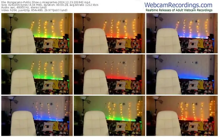 bongacams-miagrantes-12-23-2024-20-18-42