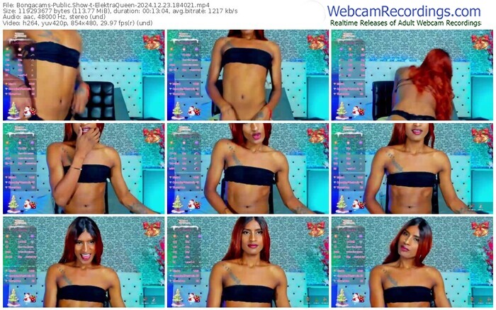 bongacams-elektraqueen-12-23-2024-18-40-21