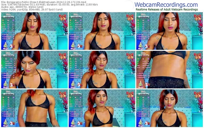 bongacams-elektraqueen-12-26-2024-17-11-39
