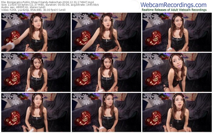bongacams-sandy-nekochan-12-31-2024-17-49-47