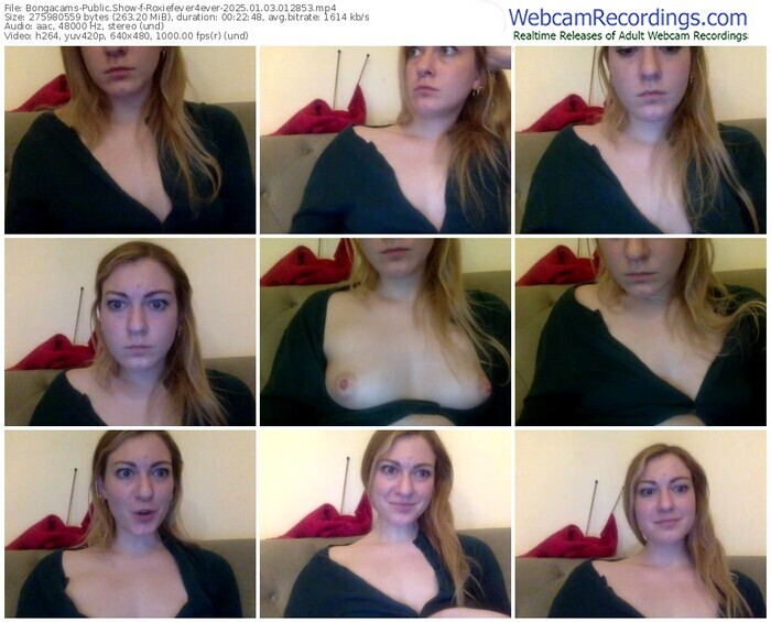 bongacams-roxiefever4ever-01-03-2025-01-28-53