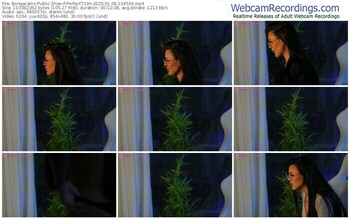 bongacams-perfectt33n-01-06-2025-13-45-34