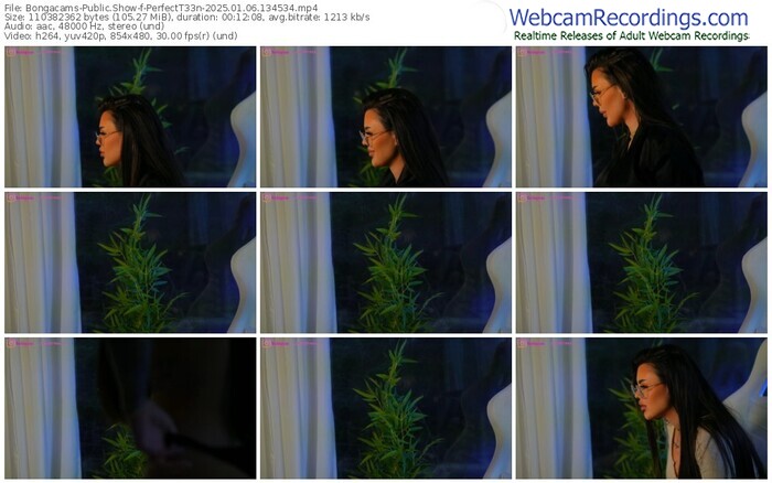 bongacams-perfectt33n-01-06-2025-13-45-34