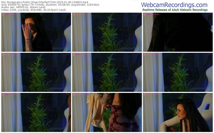 bongacams-perfectt33n-01-06-2025-13-48-33