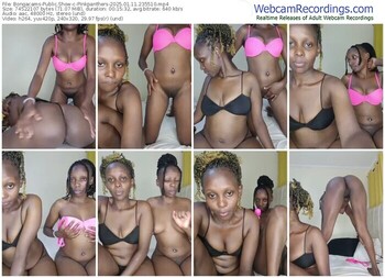 bongacams-pinkpanthers-01-11-2025-23-55-10