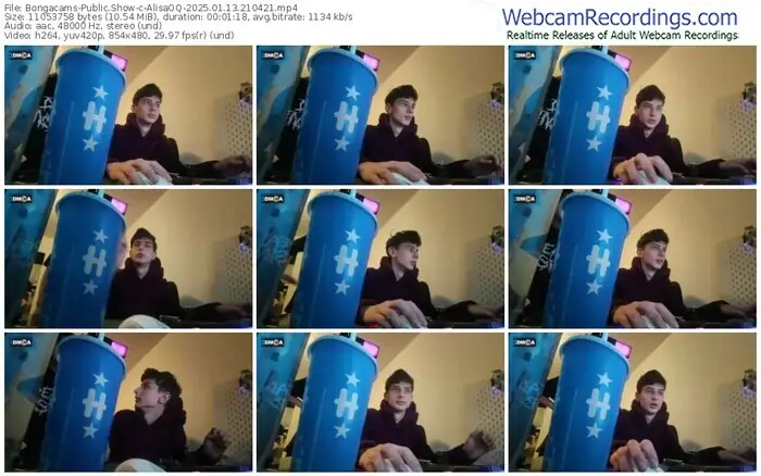 bongacams-alisaoq-01-13-2025-21-04-21