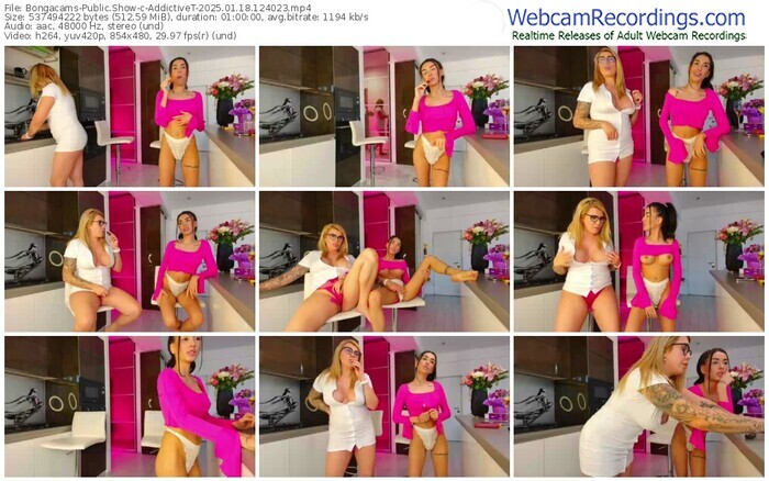 bongacams-addictivet-01-18-2025-12-40-23