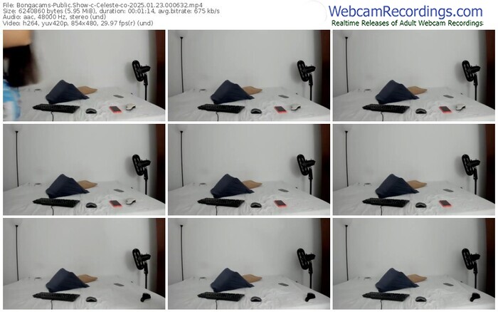 bongacams-celeste-co-01-23-2025-00-06-32