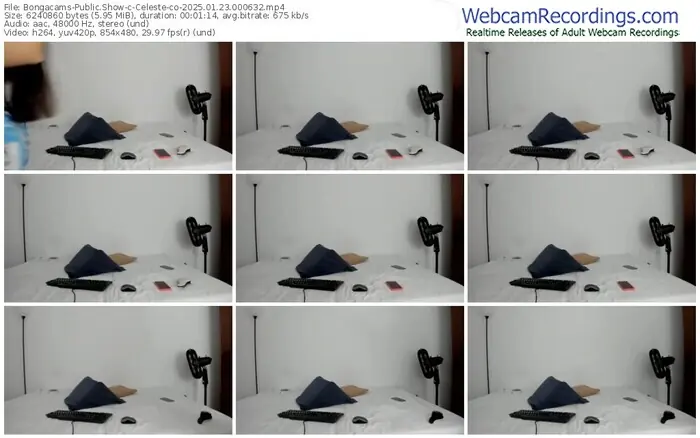 bongacams-celeste-co-01-23-2025-00-06-32