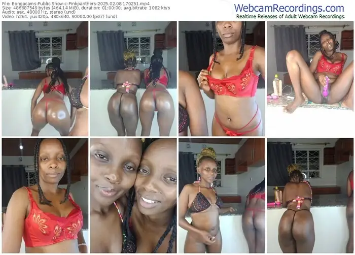 bongacams-pinkpanthers-02-08-2025-17-02-51