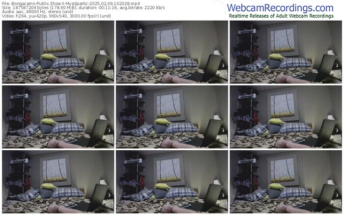 bongacams-myasparkz-02-09-2025-10-20-28