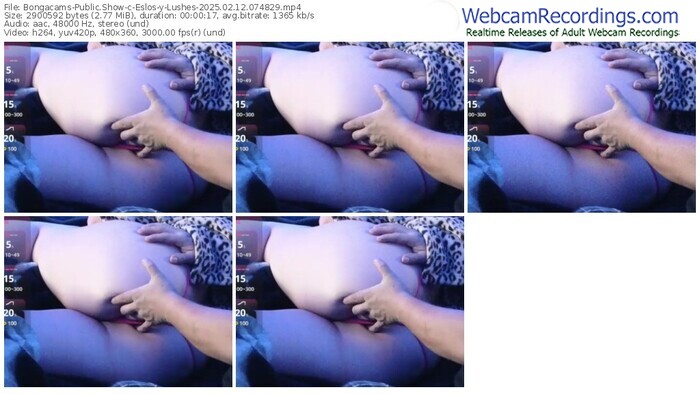 bongacams-eslos-y-lushes-02-12-2025-07-48-29