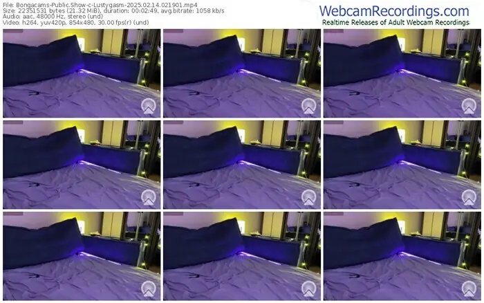 bongacams-lustygasm-02-14-2025-02-19-01