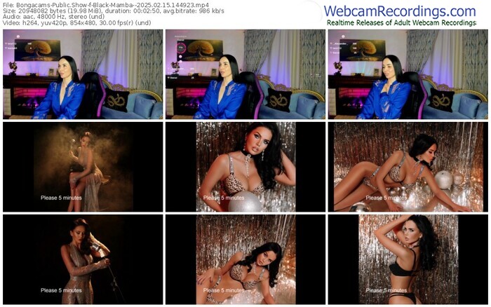 bongacams-black-mamba--02-15-2025-14-49-23