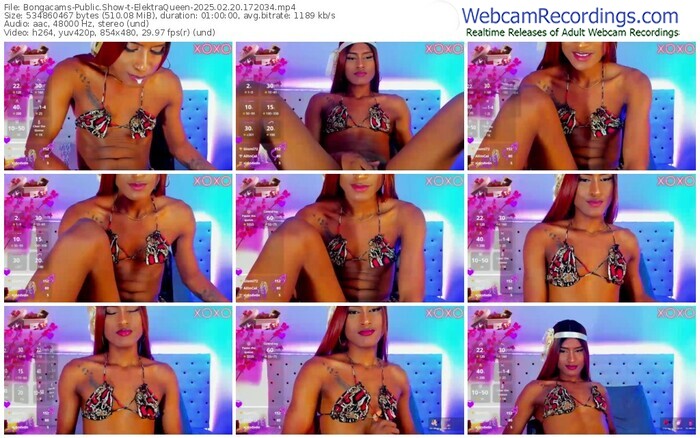 bongacams-elektraqueen-02-20-2025-17-20-34