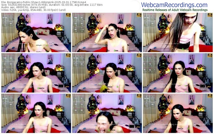 bongacams-ribbinpink-03-01-2025-17-58-19