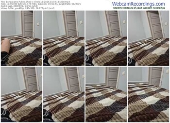 bongacams-chelsi16-03-04-2025-16-42-38