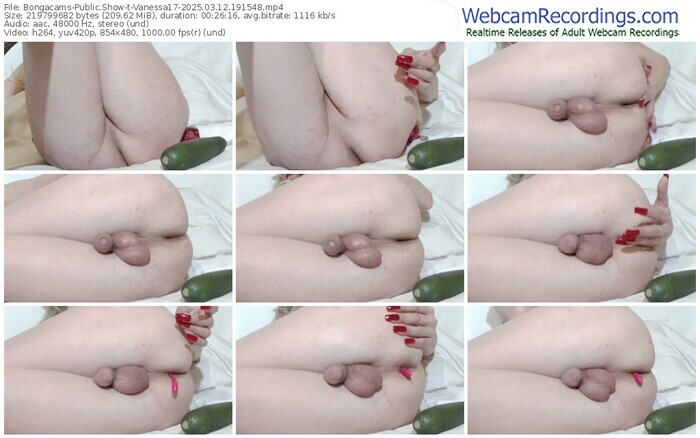 bongacams-vanessa17-03-12-2025-19-15-48