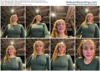 bongacams--vikkil0vescheese--03-28-2025-17-19-01