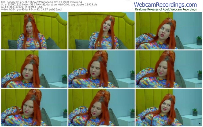 bongacams-wandared-03-29-2025-01-13-24