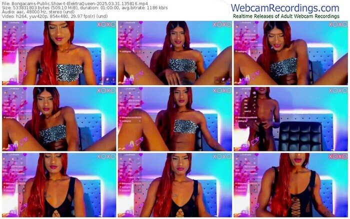 bongacams-elektraqueen-03-31-2025-13-58-16