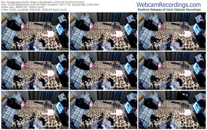 bongacams-myasparkz-04-02-2025-00-16-25