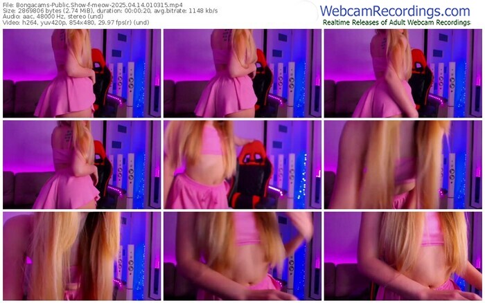 bongacams-meow-04-14-2025-01-03-15