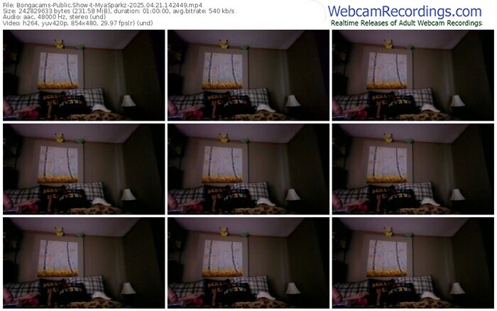bongacams-myasparkz-04-21-2025-14-24-49