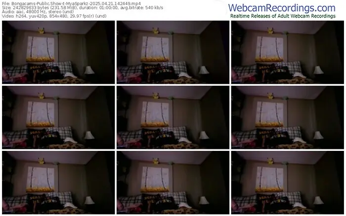 bongacams-myasparkz-04-21-2025-14-24-49