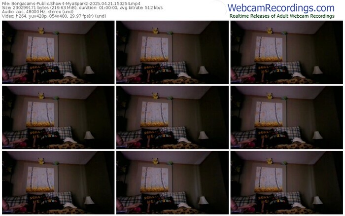 bongacams-myasparkz-04-21-2025-15-32-54