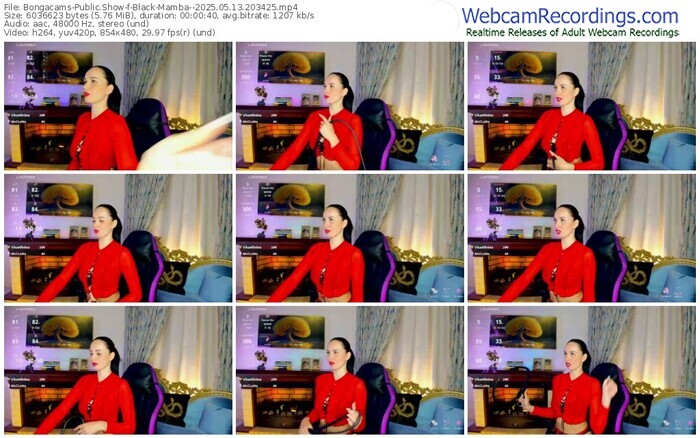 bongacams-black-mamba--05-13-2025-20-34-25