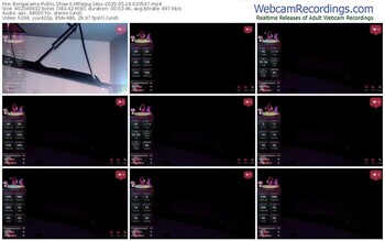 bongacams-littleguy18xx-05-16-2025-02-05-47