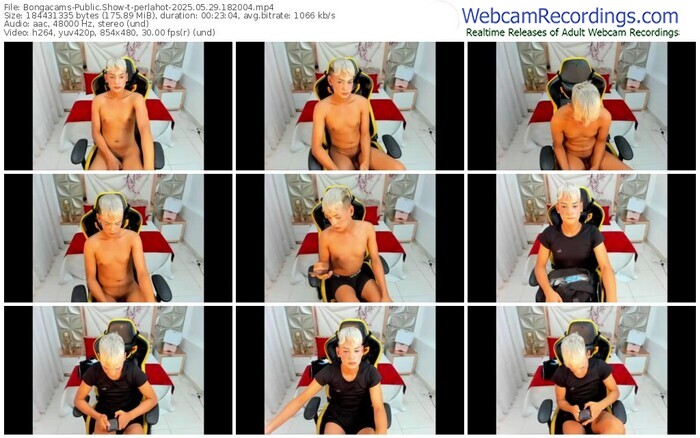 bongacams-perlahot-05-29-2025-18-20-04