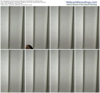 bongacams-sallyeleins-06-16-2025-19-41-49