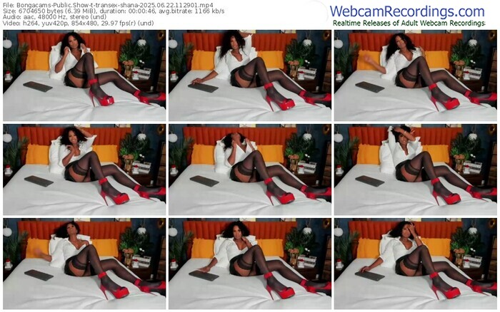 bongacams-transex-shana-06-22-2025-11-29-01