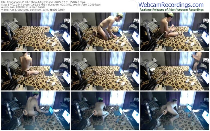 bongacams-myasparkz-07-01-2025-15-18-48