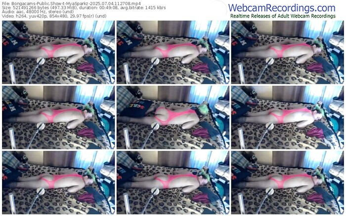 bongacams-myasparkz-07-04-2025-11-27-08