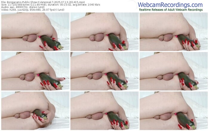 bongacams-vanessa17-07-13-2025-20-14-15