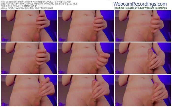 bongacams-aaron1spice-07-14-2025-00-14-50