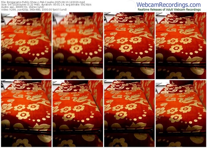bongacams-pak-couple-08-10-2025-14-30-20