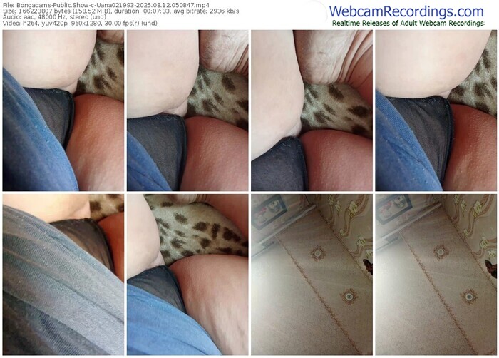 bongacams-uana021993-08-12-2025-05-08-47