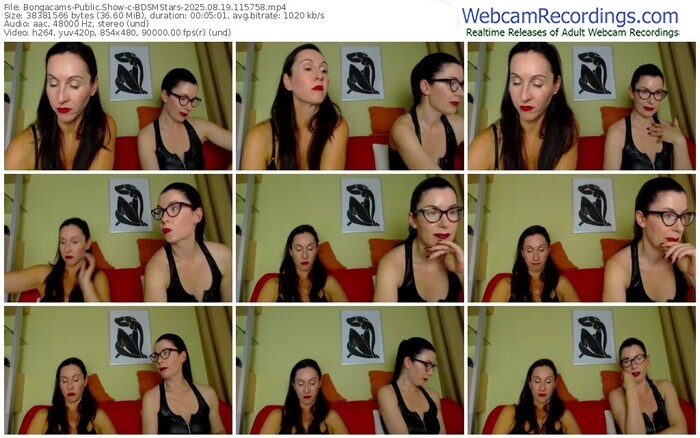 bongacams-bdsmstars-08-19-2025-11-57-58