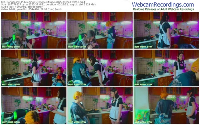 bongacams-tricky-kitsune-08-22-2025-12-32-52