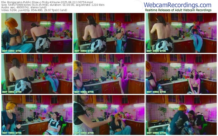 bongacams-tricky-kitsune-08-22-2025-13-07-59