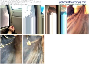 bongacams-sallyeleins-09-13-2025-17-02-45