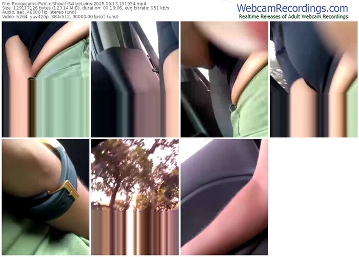 bongacams-sallyeleins-09-13-2025-19-19-34