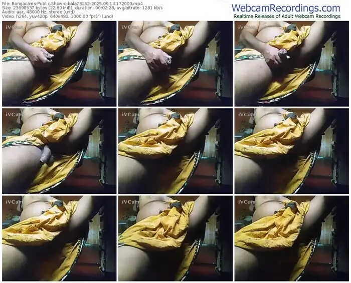 bongacams-bala73162-09-14-2025-17-20-03