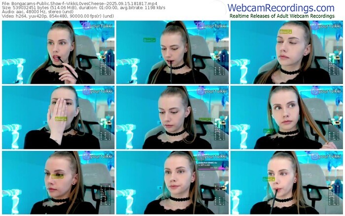 bongacams--vikkil0vescheese--09-15-2025-18-18-17