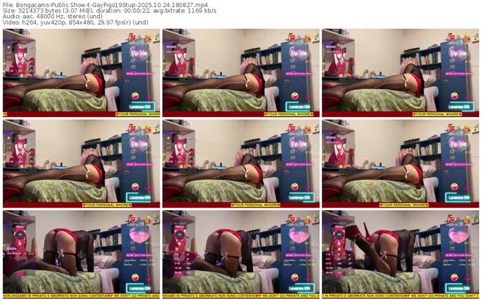 bongacams-gayfigo19stup-10-24-2025-18-08-27