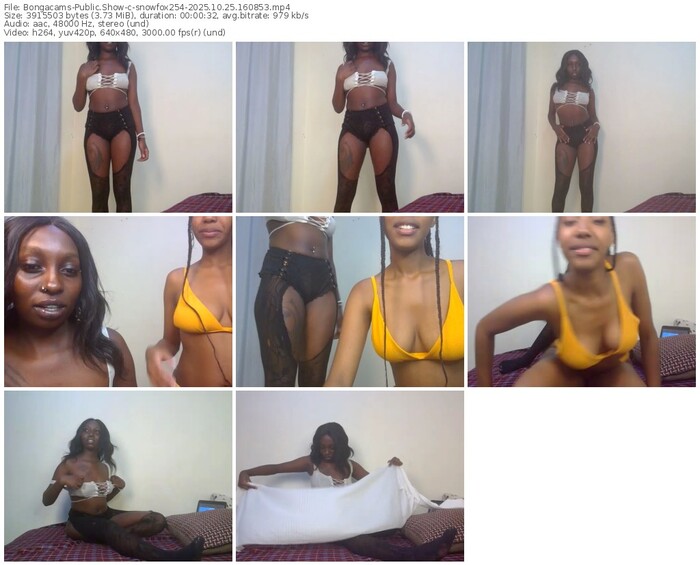 bongacams-snowfox254-10-25-2025-16-08-53